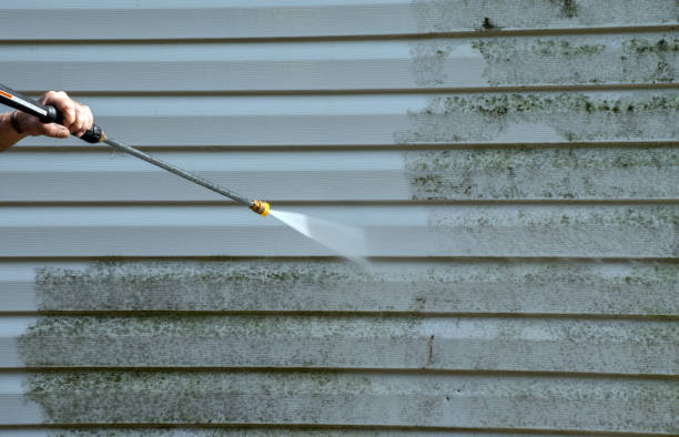 Best Sidewalk Pressure Washing  in Cross Plains, TN